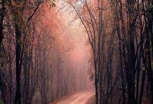 刘毅得22分山东高速轻取广州豪取三连胜 首位夏津籍球员出场并在CBA得分.