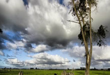 壹号娱乐官网：中超新军大连英博迎来队史首胜，国青前锋朱鹏宇闪耀全场.