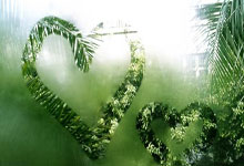 波兰主帅：如果因扎吉生气了向他道歉；我与卡什没有不和.